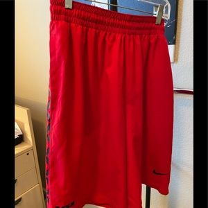 Lebron James Nike dri-fit shorts